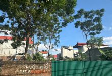 Photo of Công ty đấu giá hợp danh 2EHHT Việt Nam Thông báo đấu giá: Quyền sử dụng thửa đất số: 10(1), tờ bản đồ số 21, địa chỉ: Thôn Yên Hà, xã Vĩnh Thanh, thành phố Hà Nội, (địa chỉ trước 01/7: Thôn Yên Hà, xã Hải Bối, huyện Đông Anh, thành phố Hà Nội), quyền sử dụng thửa đất số: 10(1), tờ bản đồ số 21 địa chỉ: Thôn An Hà (Yên Hà), xã Vĩnh Thanh, thành phố Hà Nội, (địa chỉ trước 01/7: Thôn An Hà (Yên Hà), xã Hải Bối, huyện Đông Anh, thành phố Hà Nội)