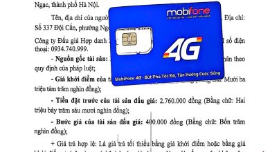 Photo of Công ty đấu giá hợp danh 2EHHT Việt Nam Thông báo đấu giá: SIM (số) điện thoại: 0934.740.999