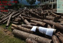 Photo of Công ty Đấu giá Hợp danh 2E HHT Việt Nam Thông báo đấu giá: Lô gỗ rừng đã khai thác tại các khu giải phóng mặt bằng thực hiện các dự án khẩn cấp trên địa bàn xã Pà Vầy Sủ năm 2025, năm 2026