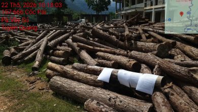 Photo of Công ty Đấu giá Hợp danh 2E HHT Việt Nam Thông báo đấu giá: Lô gỗ rừng đã khai thác tại các khu giải phóng mặt bằng thực hiện các dự án khẩn cấp trên địa bàn xã Pà Vầy Sủ năm 2025, năm 2026