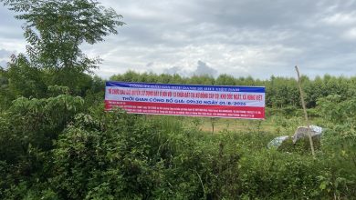Photo of Công ty Đấu giá Hợp danh 2E HHT Việt Nam Thông báo đấu giá: Quyền sử dụng đất ở đối với 13 thửa đất tại xứ đồng Cây Cọ, Đồi 16, khu Dốc Ngát, xã Hùng Việt